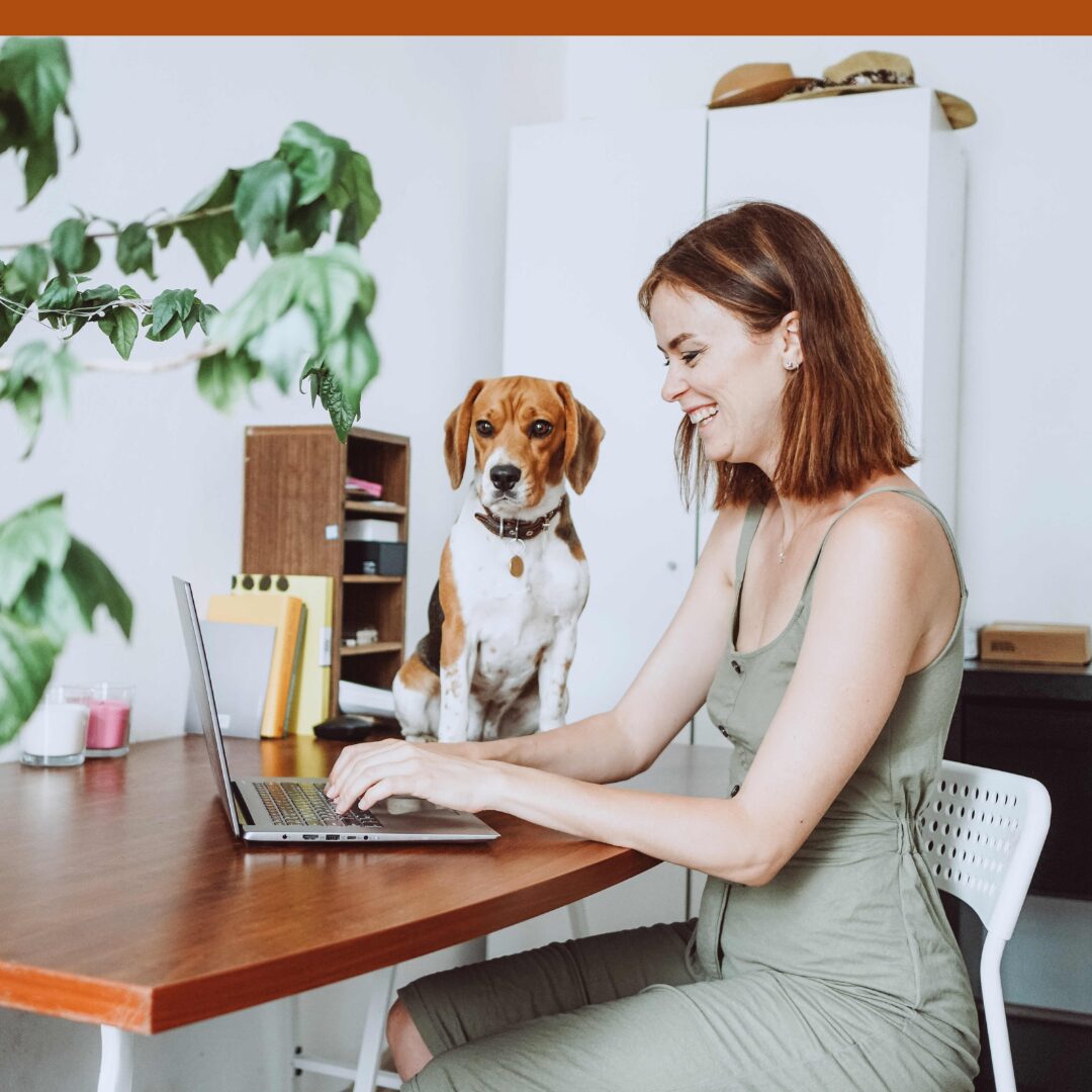 Work From Anywhere- Safely